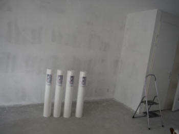 Wat is renovlies behang